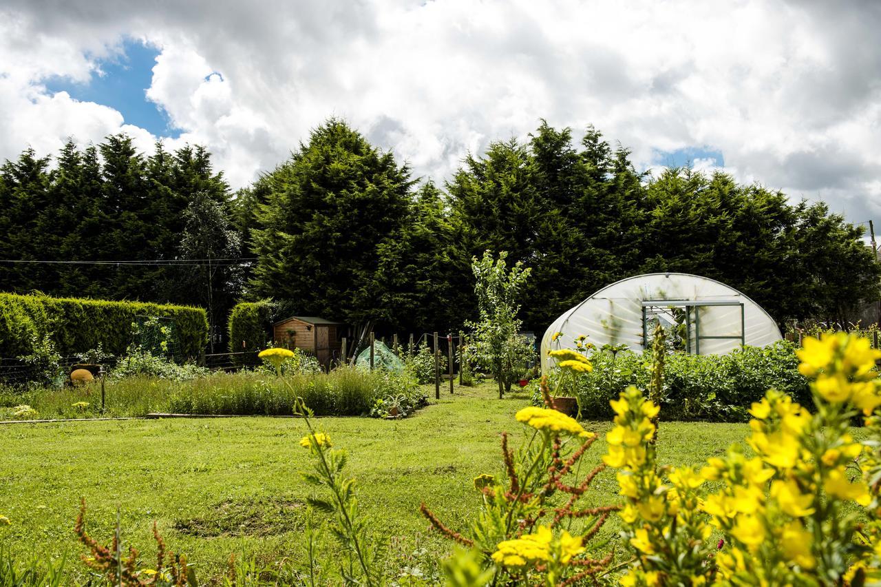 Peartree Hill Bed & Breakfast Dundonald  Eksteriør bilde